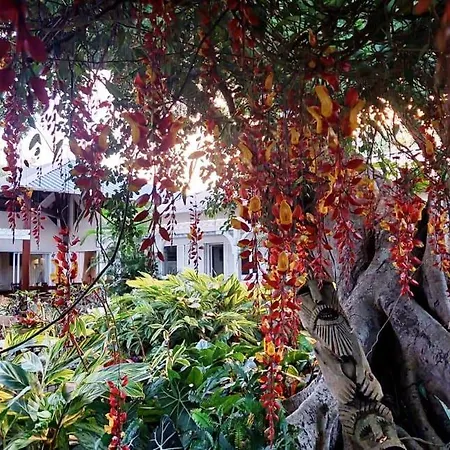 Tree Lodge Mauritius Belle Mare Exterior photo