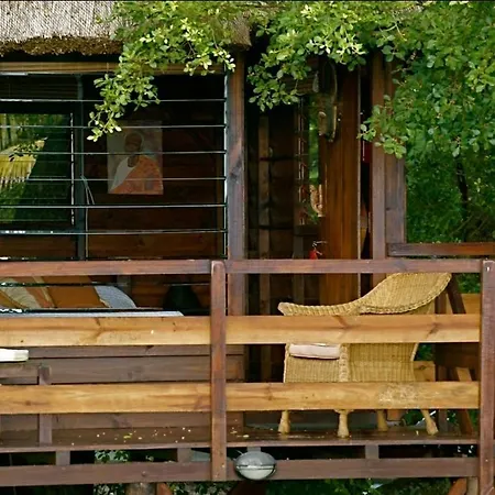 Tree Lodge Mauritius Belle Mare Room photo