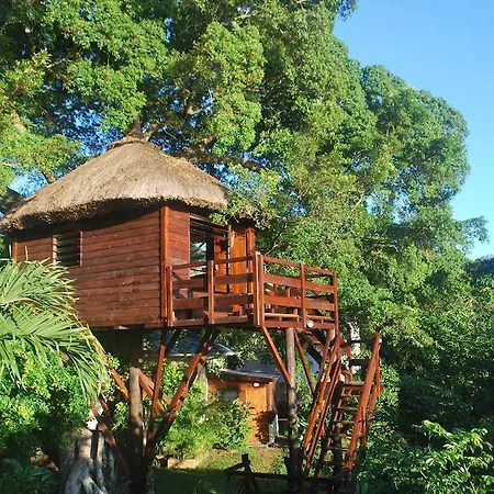 Tree Lodge Mauritius Belle Mare Room photo