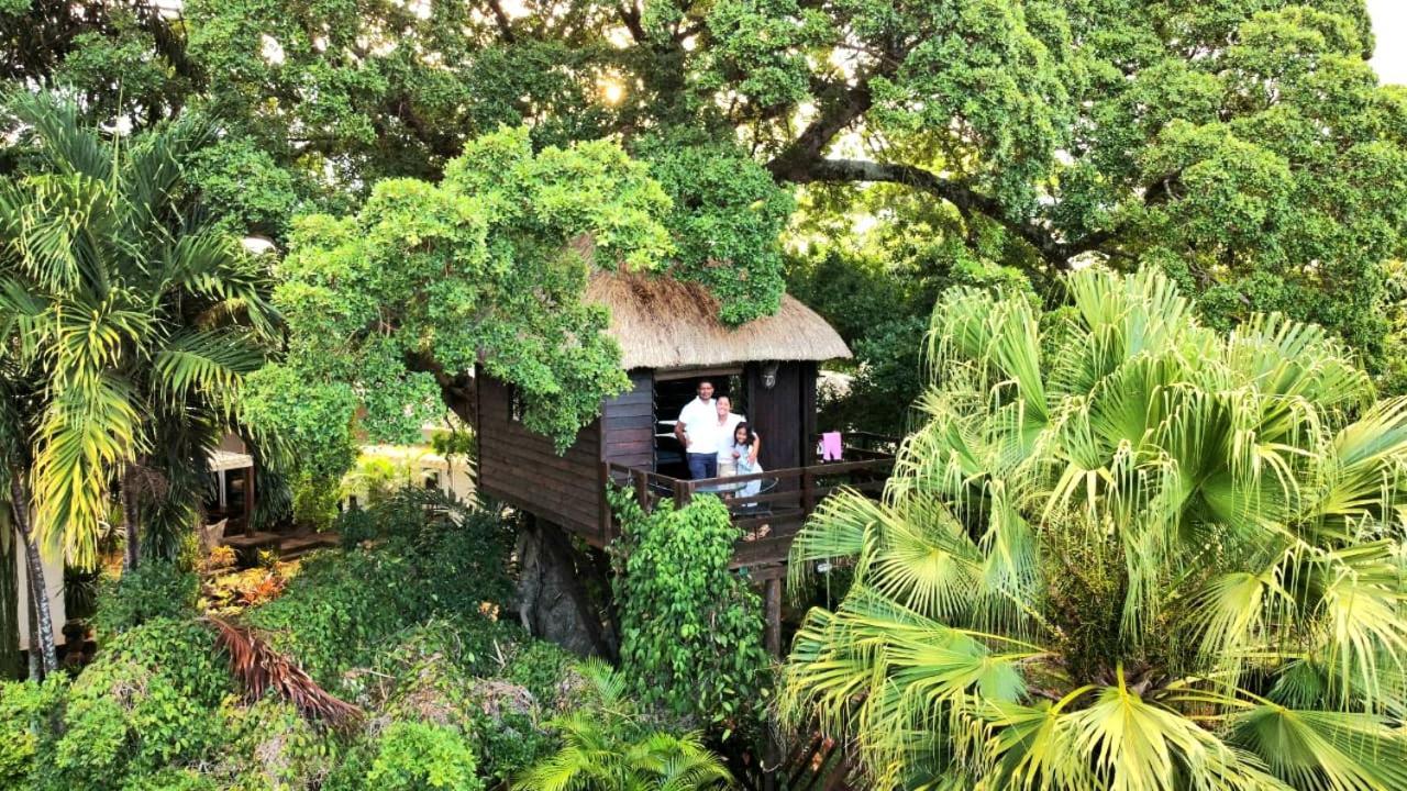 Tree Mauritius Lodge