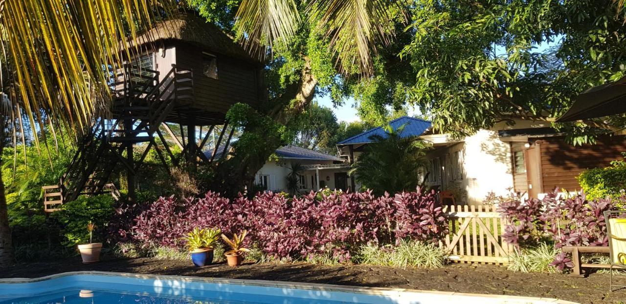 Lodge Tree Mauritius *