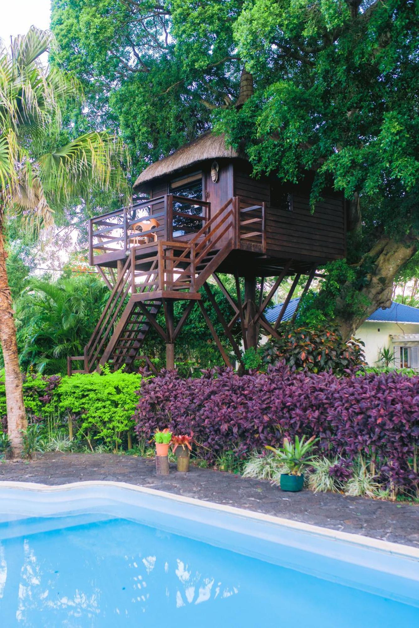 Lodge Tree Mauritius