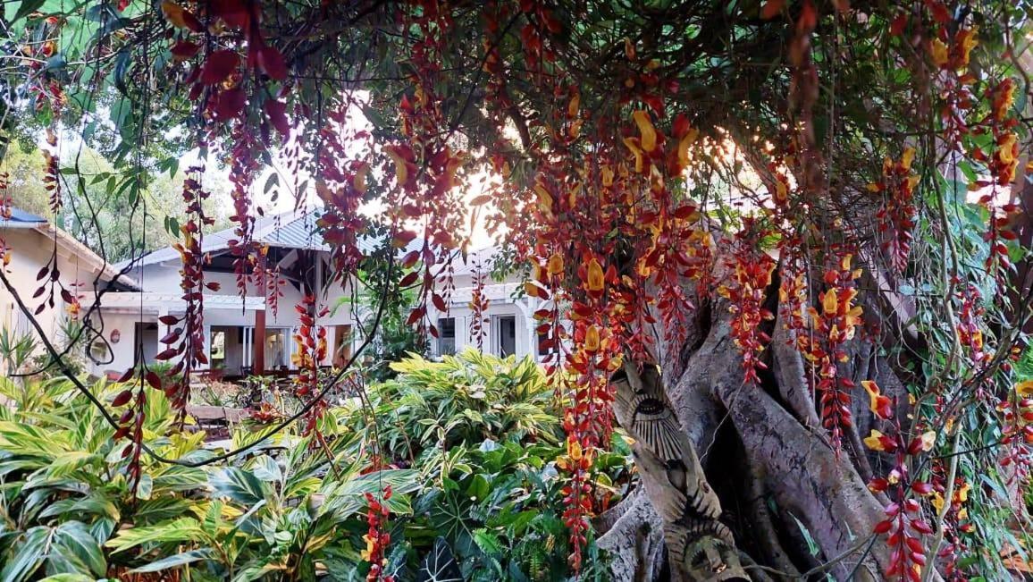 Tree Mauritius Lodge