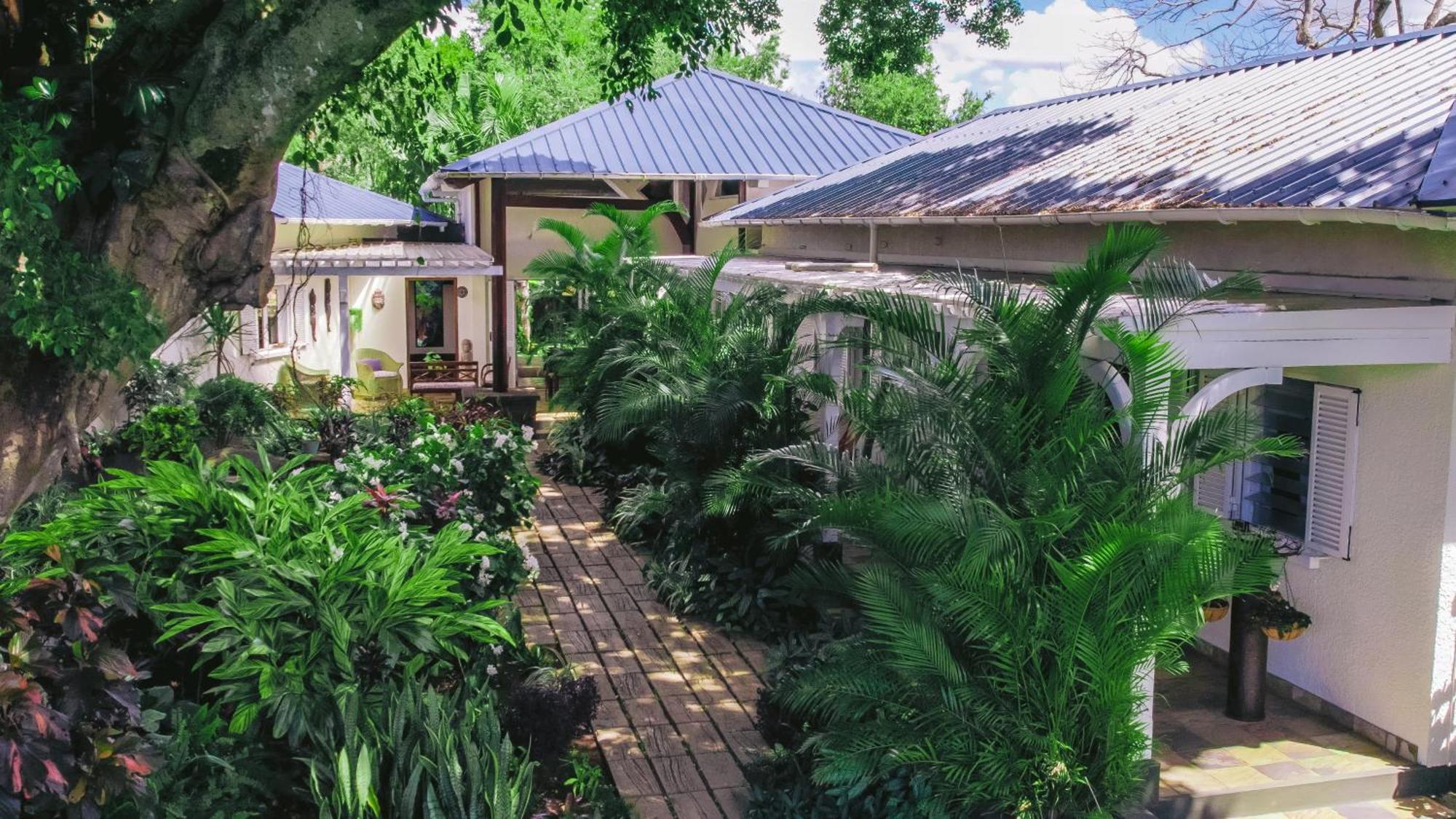 Tree Mauritius Lodge Belle Mare