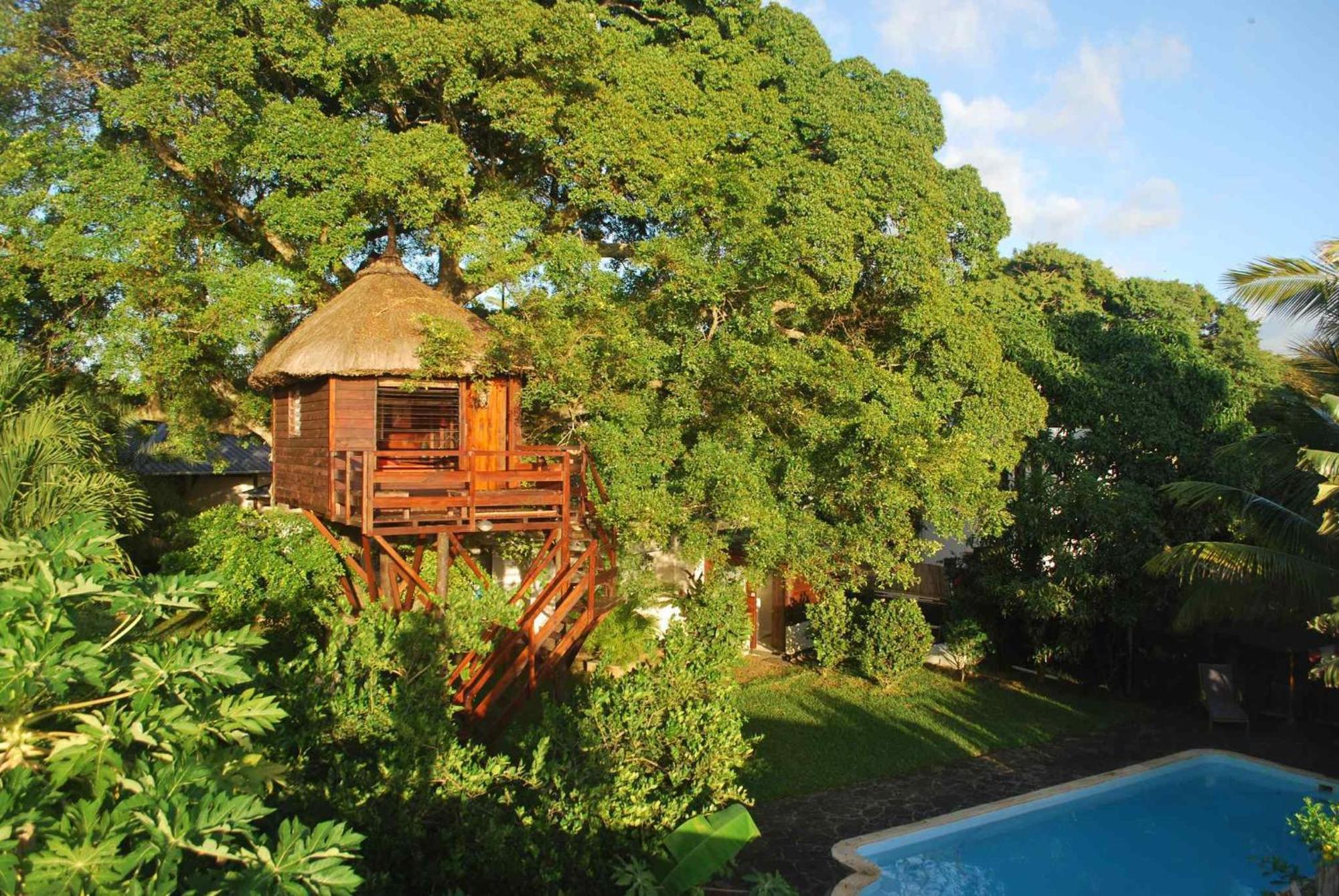 Lodge Tree Mauritius *