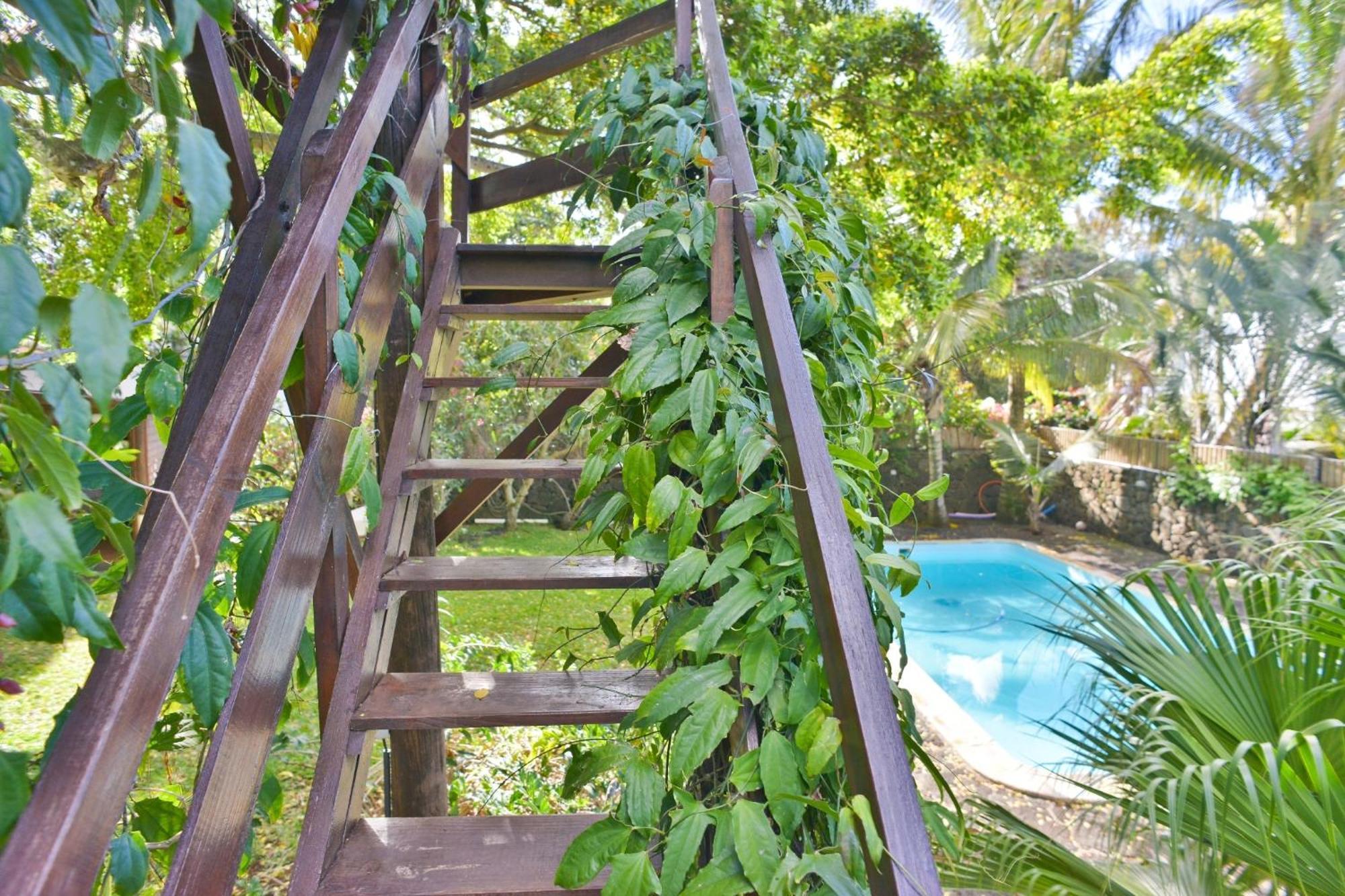 Lodge Tree Mauritius Belle Mare