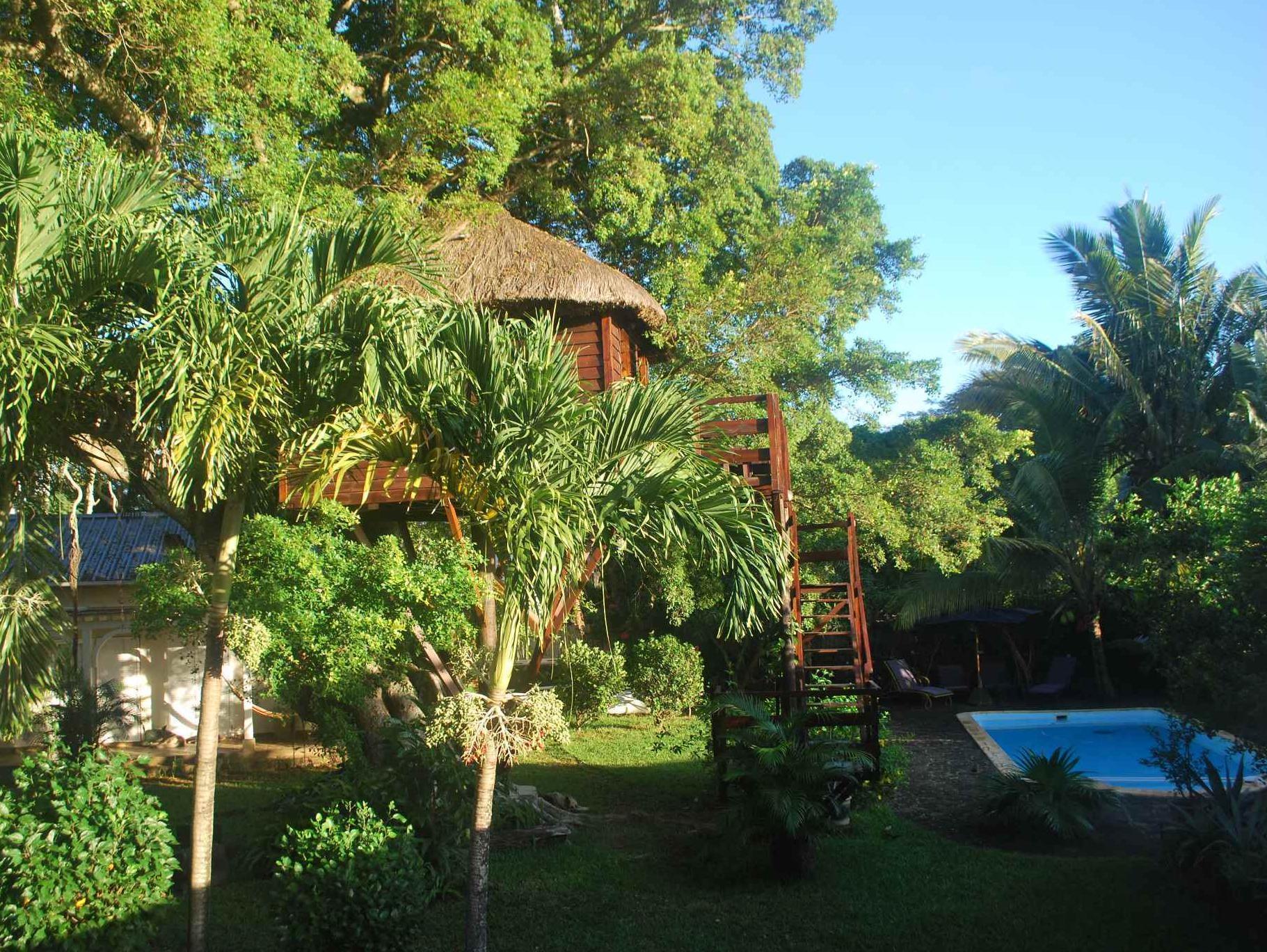 Lodge Tree Mauritius