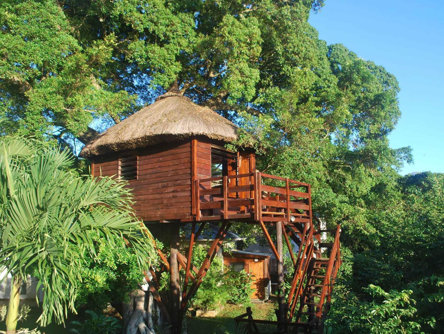 Lodge Tree Mauritius *