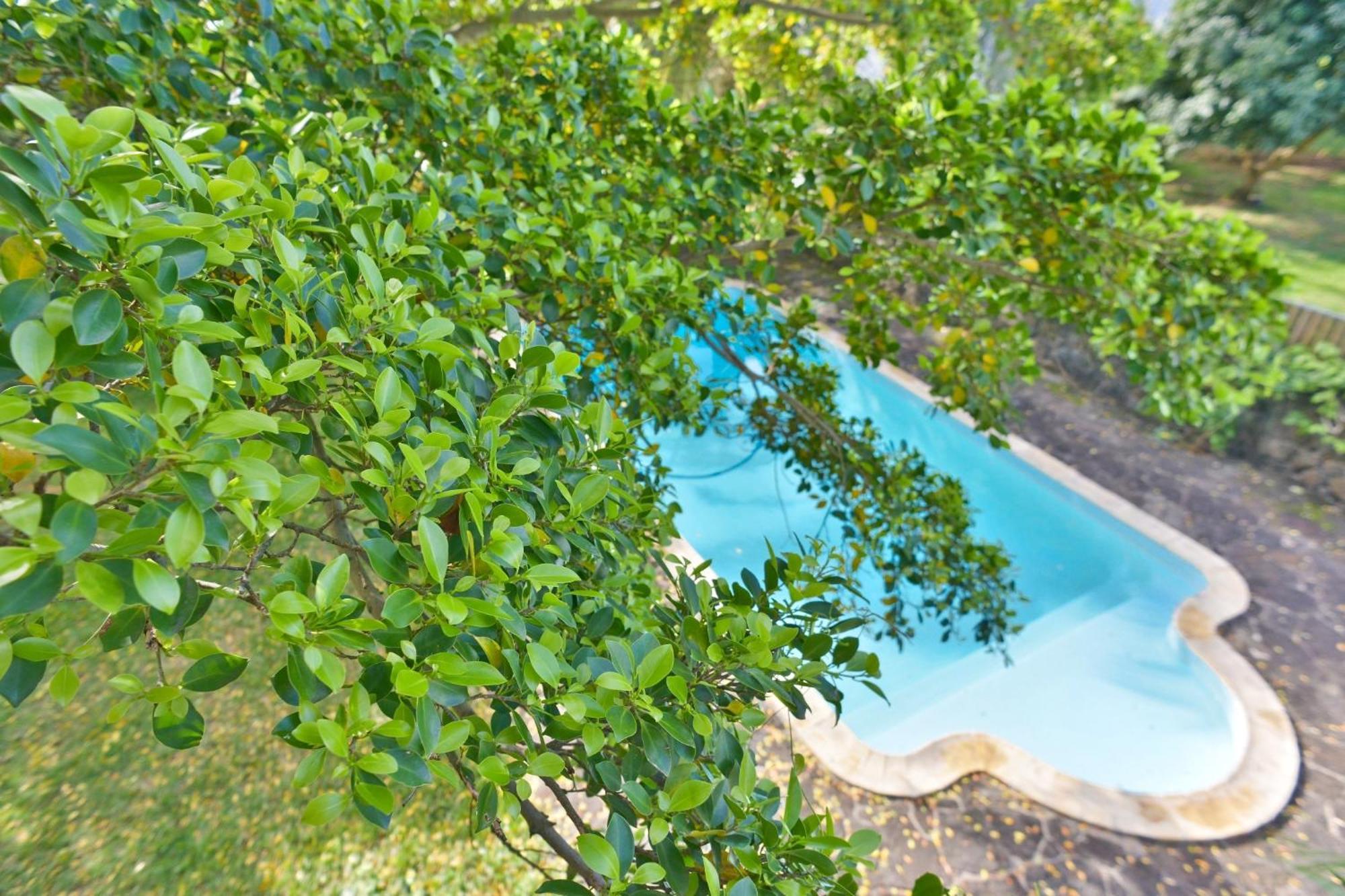 Lodge Tree Mauritius Belle Mare